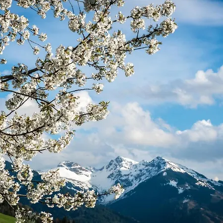 Reith Apartmán Kitzbühel