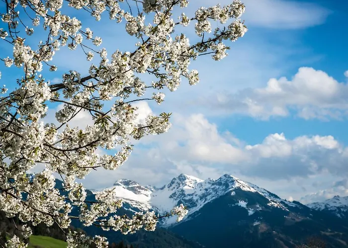 Reith Lägenhet Kitzbühel