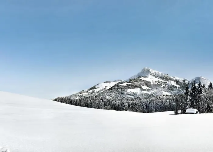 Апартаменты Reith *