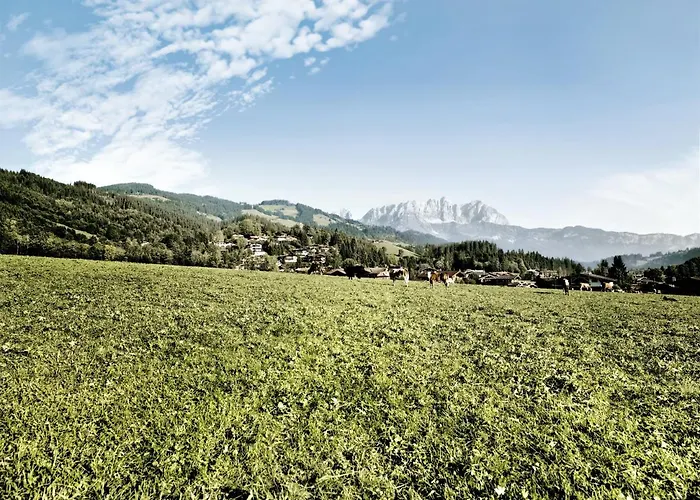 Апартаменты Reith